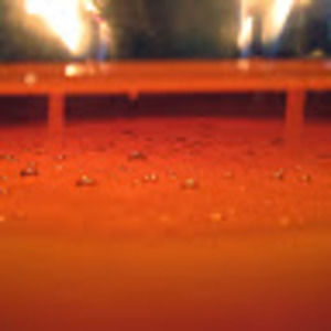 Meet your Posher, Sami